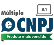 Certificado digital e-CNPJ - no computador - 12 meses - múltipla